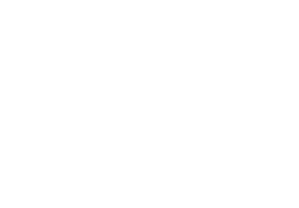 Text Box: Professional Dance Shows Available For Corporate & Private Events